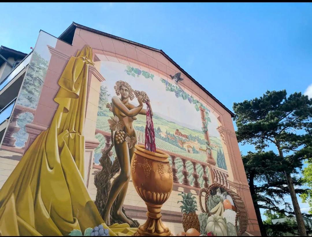 Ravissant Appartement T2 Proche Autoroute Et Centre-Ville Villefranche-sur-Saône Екстериор снимка