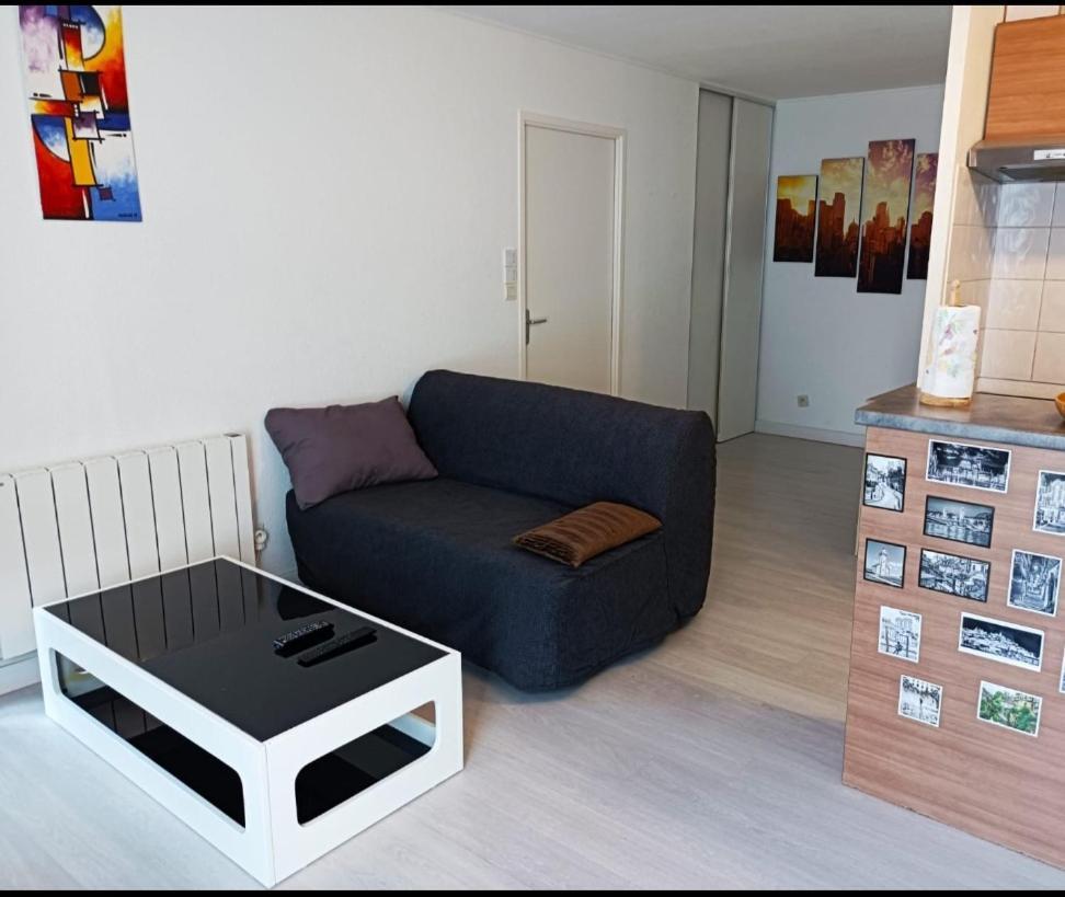 Ravissant Appartement T2 Proche Autoroute Et Centre-Ville Villefranche-sur-Saône Екстериор снимка